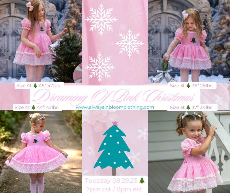 Dreaming of PINK Christmas Dress Set